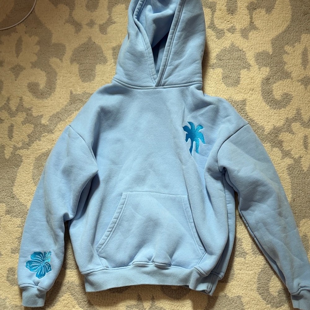Light Blue Pink Palm Hoodie - xxs